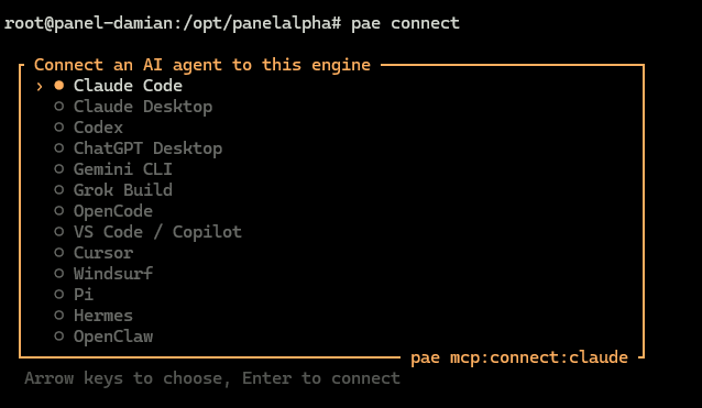 pae connect on your VPS: arrow keys to choose an assistant, Enter to connect